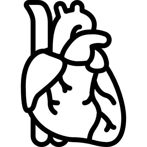 Καρδια – Κυκλοφορικο Συστημα