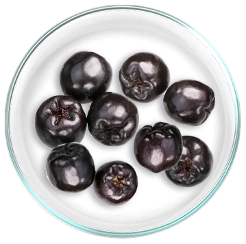 Εκχύλισμα Αρώνιας (Aronia melanocarpa)