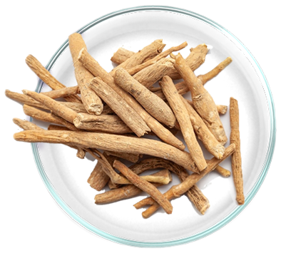 Εκχύλισμα Ashwagandha 