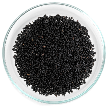 Εκχύλισμα Μαύρου Κύμινου (Nigella sativa) 