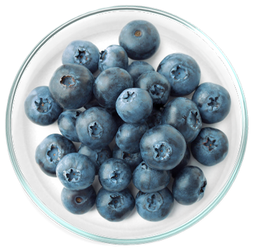 Εκχύλισμα άγριου μύρτιλλου (Bilberry) 