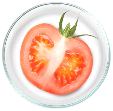 Λυκοπένιο (από ντομάτα) 