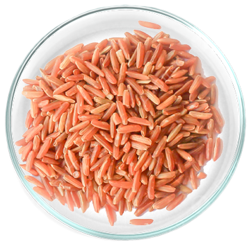 Κόκκινο ρύζι ζύμωσης (Red Yeast Rice) 