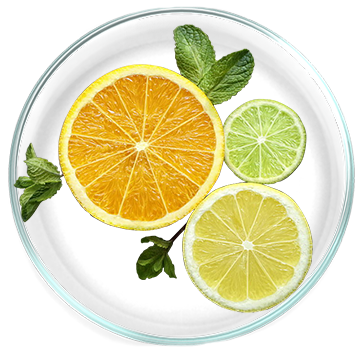 Εκχύλισμα Εσπεριδοειδών (βιοφλαβονοειδή) 