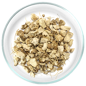 Εκχύλισμα από άγριο γιαμ (Dioscorea opposita Thunb.) 